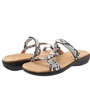 Trotters Raja Shoes/ Snake 8.5 N (Aa) Synthetic - Black