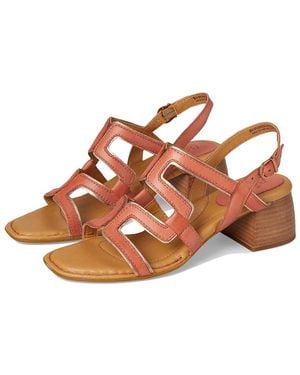 Born Sofia Sandals /Mango) 6 M (B) Leather/Rubber - Brown