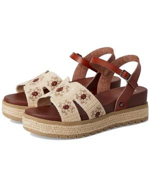 MIA Keva Wedge Shoes Cognac/Bone, Faux Leather - Brown