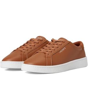 Lacoste Courtderby Sneakers Shoes/ 11 D - Brown