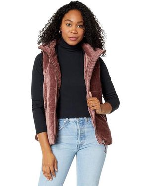 Dylan sherpa vest 2025