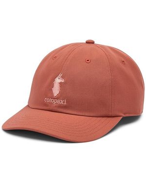 COTOPAXI Dad Hat (Faded Brick) Caps - Red