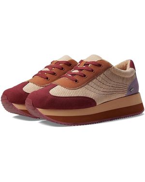 Rocket Dog Rapid Shoes, Textile - Brown