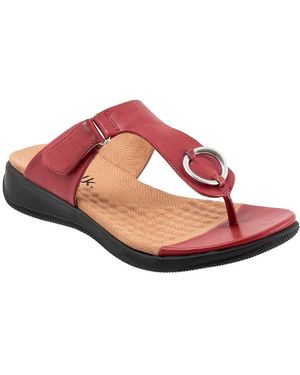 Softwalk Talara (Dark) Shoes - Black