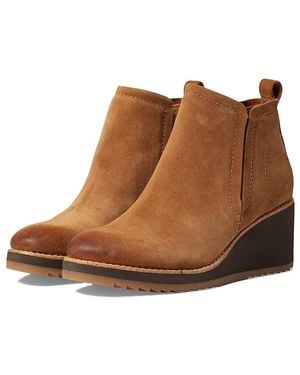Söfft Emeree (Saddle) Shoes - Brown