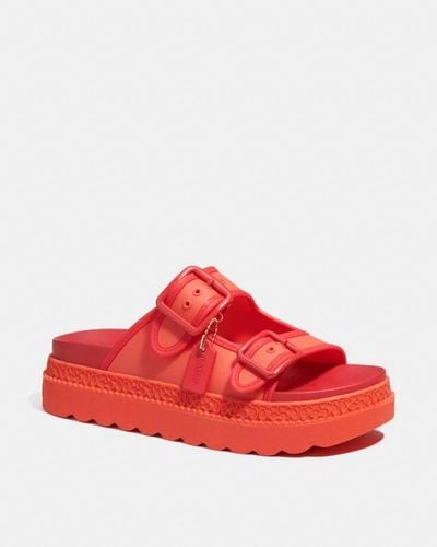 COACH Lucy Sandal - Red