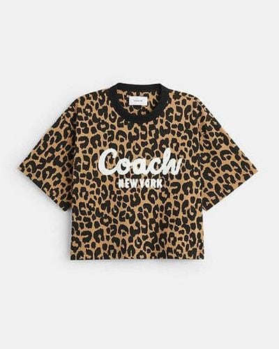COACH Leopard Cursive Signature Cropped T Shirt - Multicolour