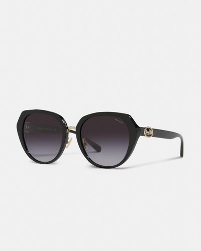 COACH Horse And Carriage Oversized Round Sunglasses - Black