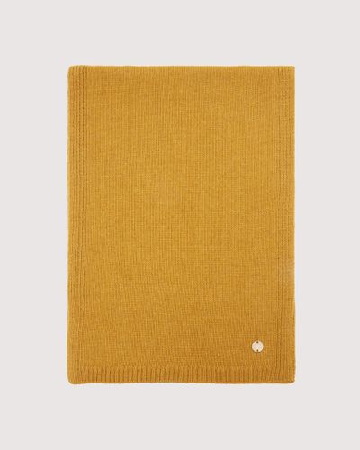 Coccinelle Sciarpa in Misto cashmere Eleonore - Giallo