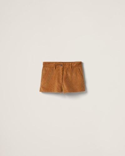 Miu Miu Corduroy Shorts - Brown