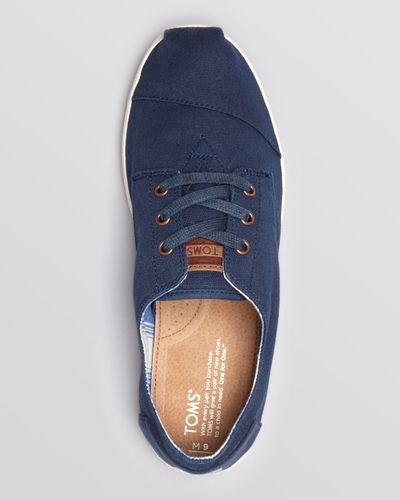 toms lace up sneakers