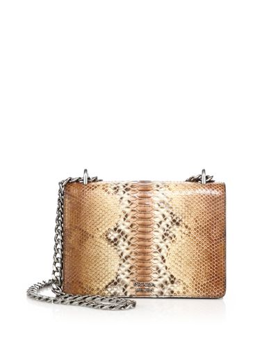 snakeskin chain bag