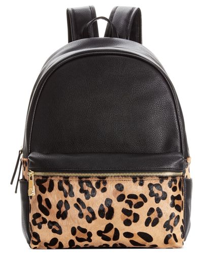 steve madden leopard backpack