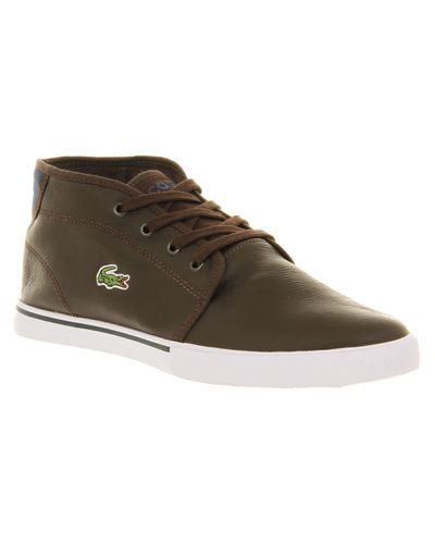 Lacoste Ampthill Brown for - Lyst