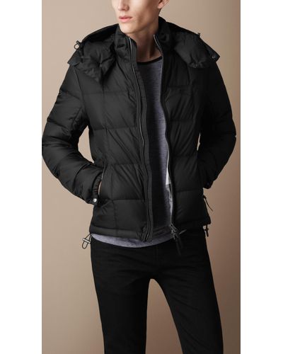 burberry brit black jacket