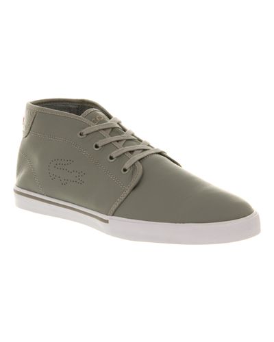 lacoste ampthill khaki