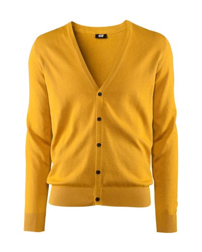 burnt orange knit sweater