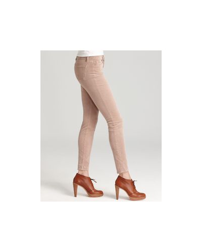 lioness pants