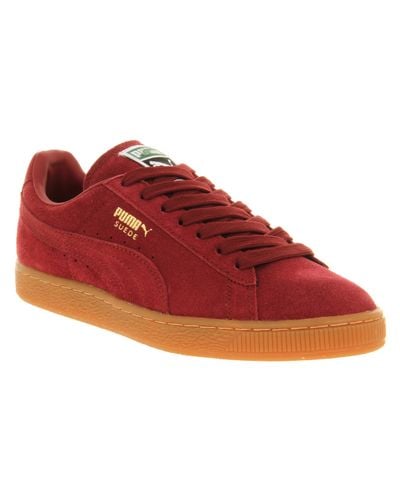 PUMA Suede Classic Burgundy Gum Gold in Red for Men - Lyst