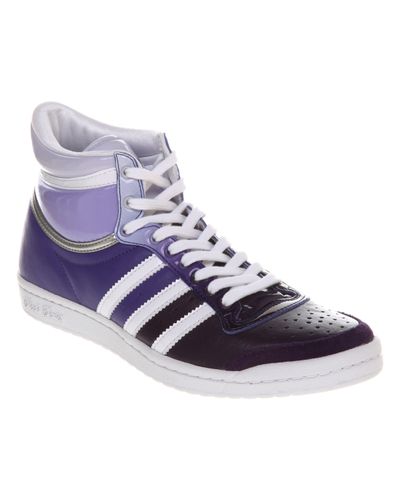 adidas Top Ten Hi Sleek Purple in Blue | Lyst