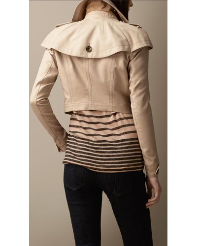 burberry cropped jacket
