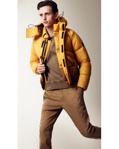 burberry elworth jacket