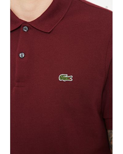 maroon lacoste shirt