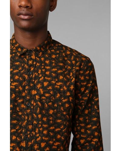 leopard button down men