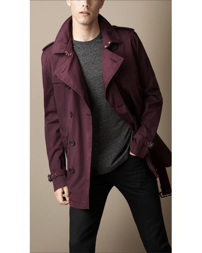 burberry purple jacket