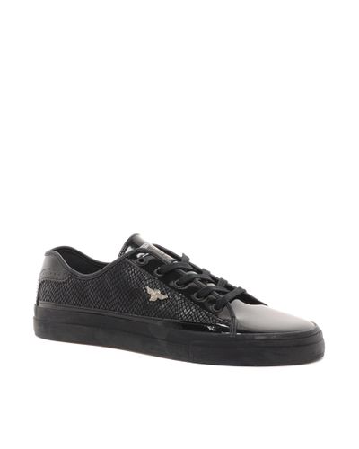 creative recreation kaplan leather trainer