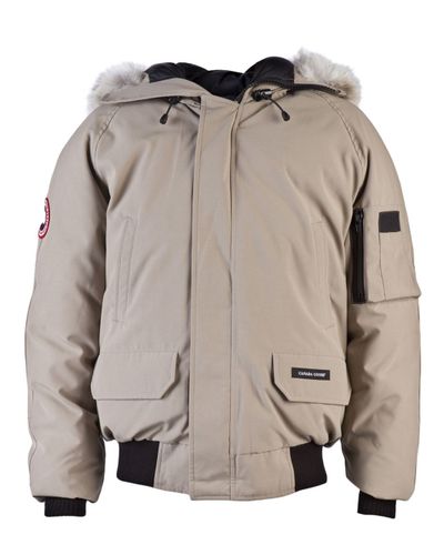 beige canada goose bomber