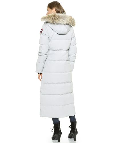 canada goose silverbirch