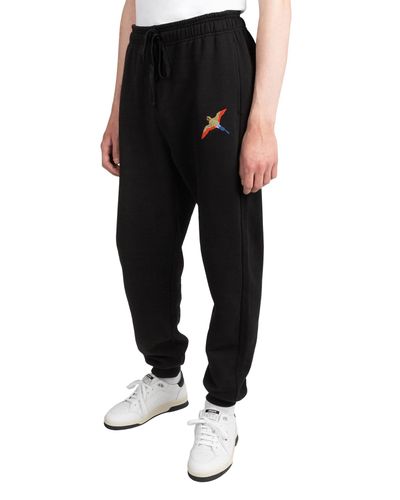 bee inspired sweatpants