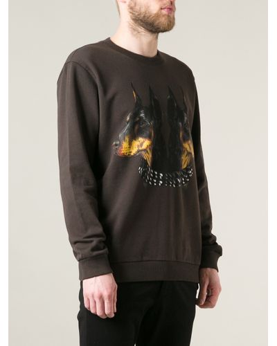 givenchy sweater dog