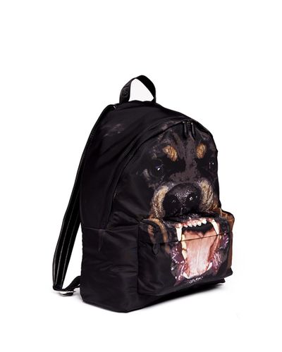 givenchy backpack rottweiler