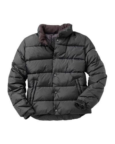 gap primaloft jacket