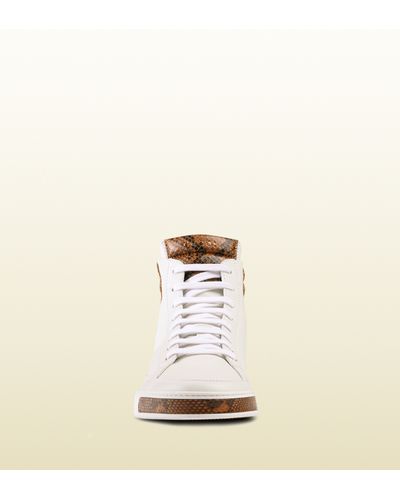 gucci python high tops