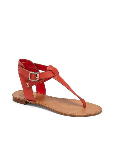 Vince Camuto Miya- Buckle T-strap Flat Sandal in Red - Lyst