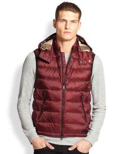 burberry vest with hood