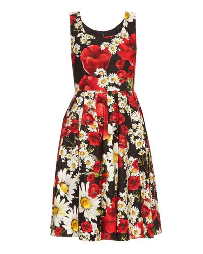 Dolce & Gabbana Poppy And Daisy-print Cotton Dress in Black Print (Red ...