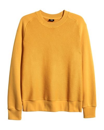 hoodies for cats amazon