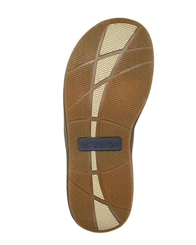 sperry santa cruz flip flops