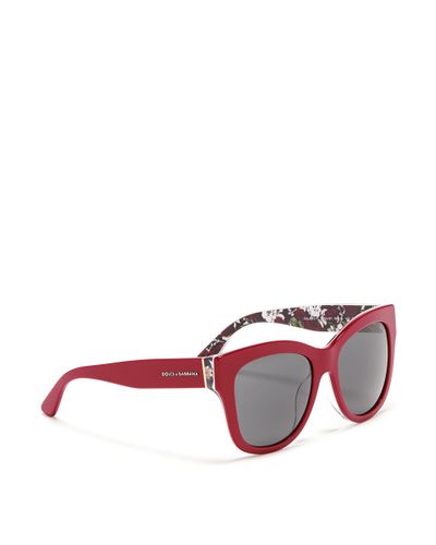 Dolce & Gabbana Rose Print Interior Acetate Sunglasses in Red - Lyst