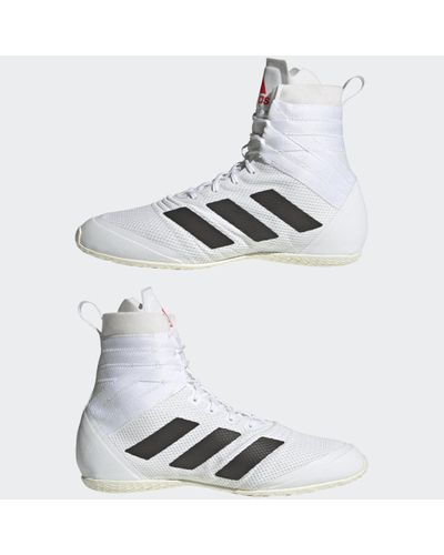 speedex 18 boksschoenen