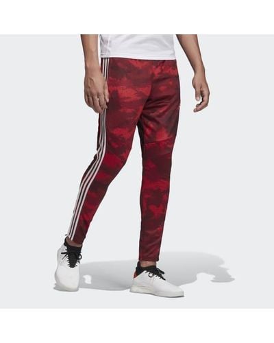 tiro 19 camo training pants red