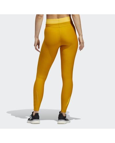 adidas Alphaskin Cold.rdy Long Tights 