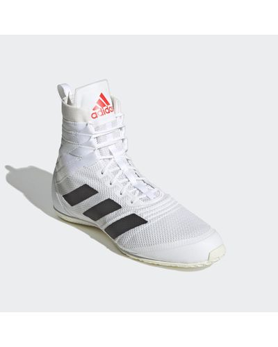 speedex 18 boksschoenen