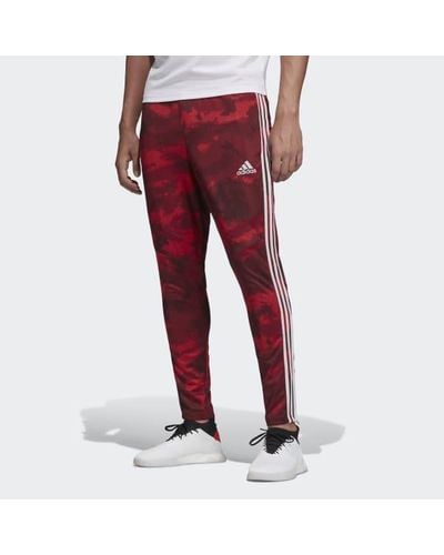 red tiro pants