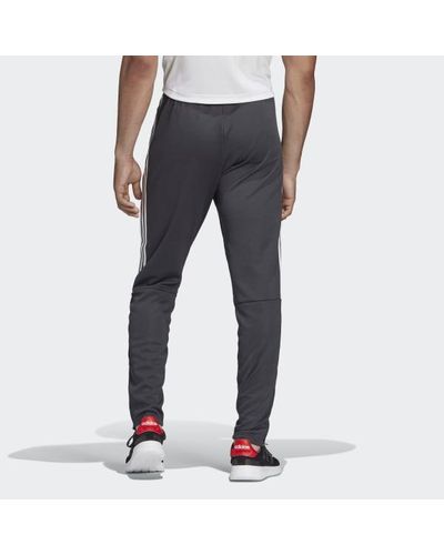mens adidas sereno training pants