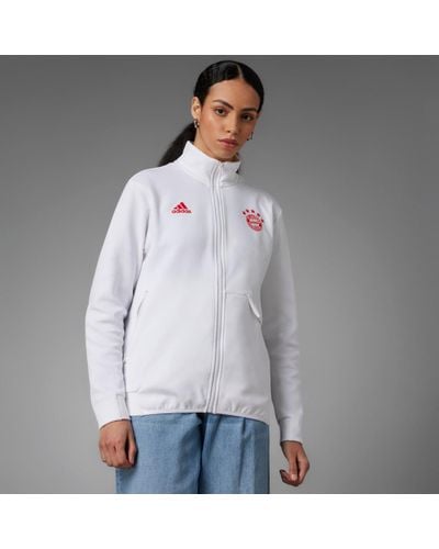 adidas Fc Bayern Anthem Jacket - Grey